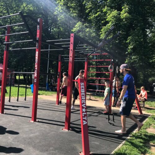 Calisthenics toestel Nippur L+ 19 Met onderdelen zoals monkey bars, dips, wall bars en ringhouders zijn onze buiten fitness toestel en zeer geschikt voor een complete full-body workout.